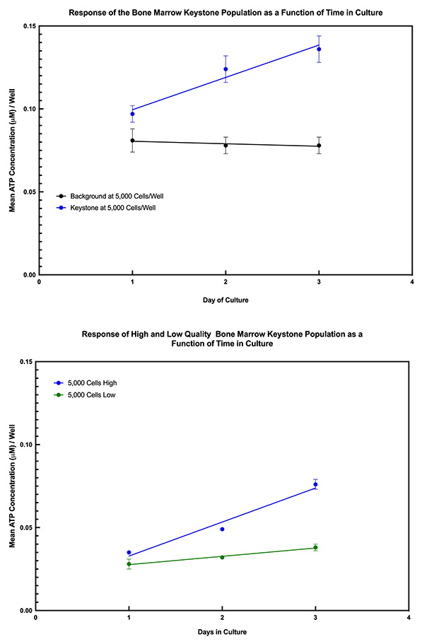 The Keystone Assay™ - Time course for detection of the Keystone Cell Population™ in human bone marrow cells.