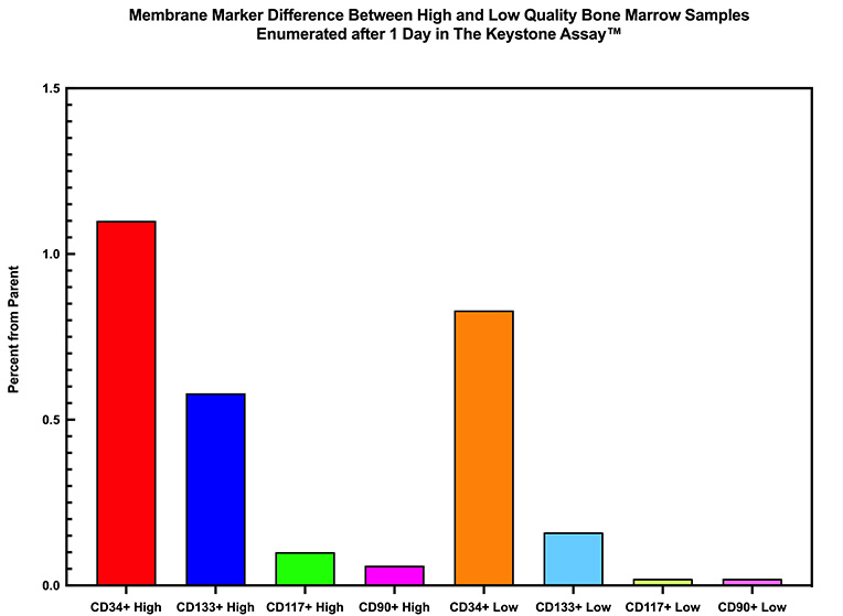 The Keystone Assay™ - Detection of membrane markers on The Keystone Cell Population™ by flow cytometry after 1 Day in Culture