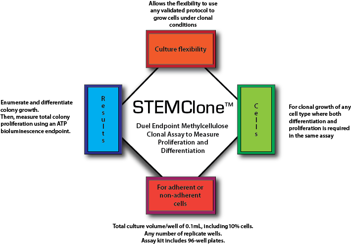 A complete, standardized, methylcellulose clonal proliferation and differentiation assay for any cell type that can form colonies in vitro