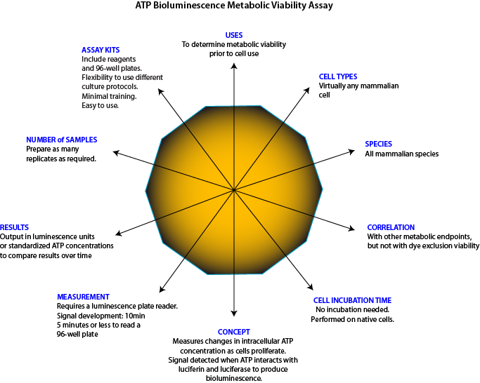 Metabolic Viability and Cellular Functionality Assay for Virtually Any Cell Type to Determine Cellular and Mitochondrial Integrity
